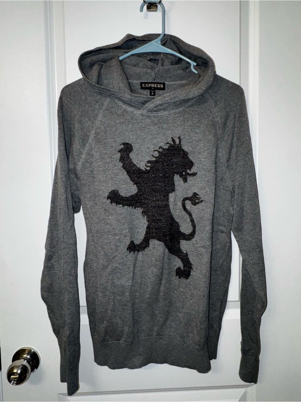 Express Gray Hooded Pullover with Black Lion Motif